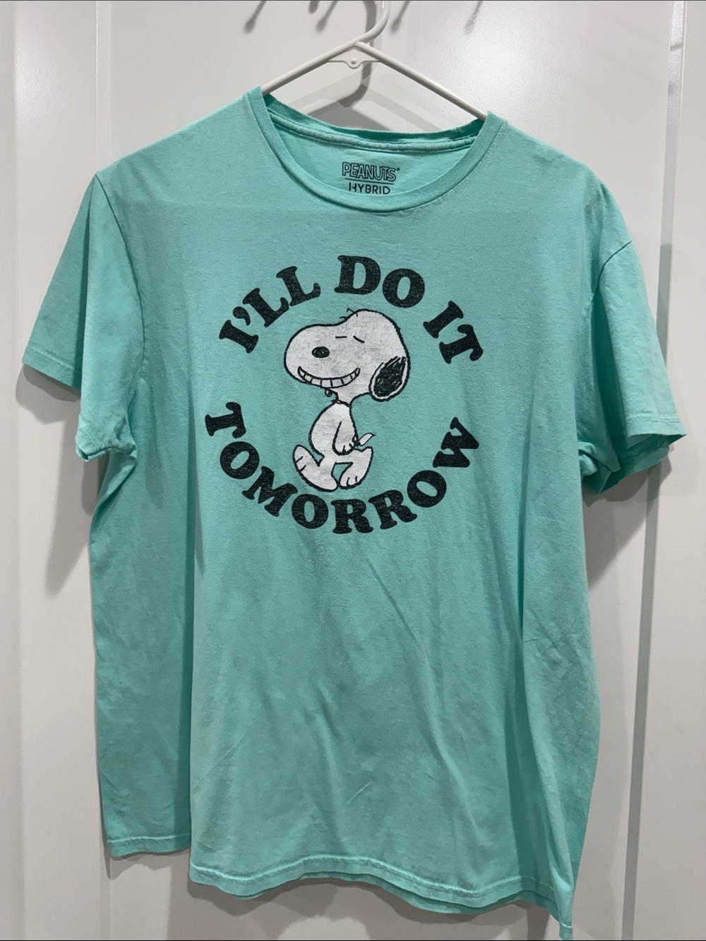 Peanuts Hybrid Tee in Mint